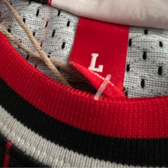 Scottie Pippen Chicago Bulls 1995-1996 Mitchell & Ness Black NBA Swingman Jersey - Picture 5 of 9